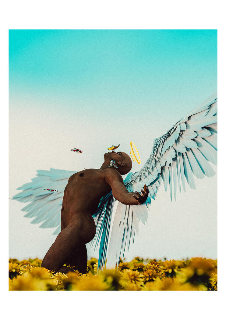 Metamorphosis