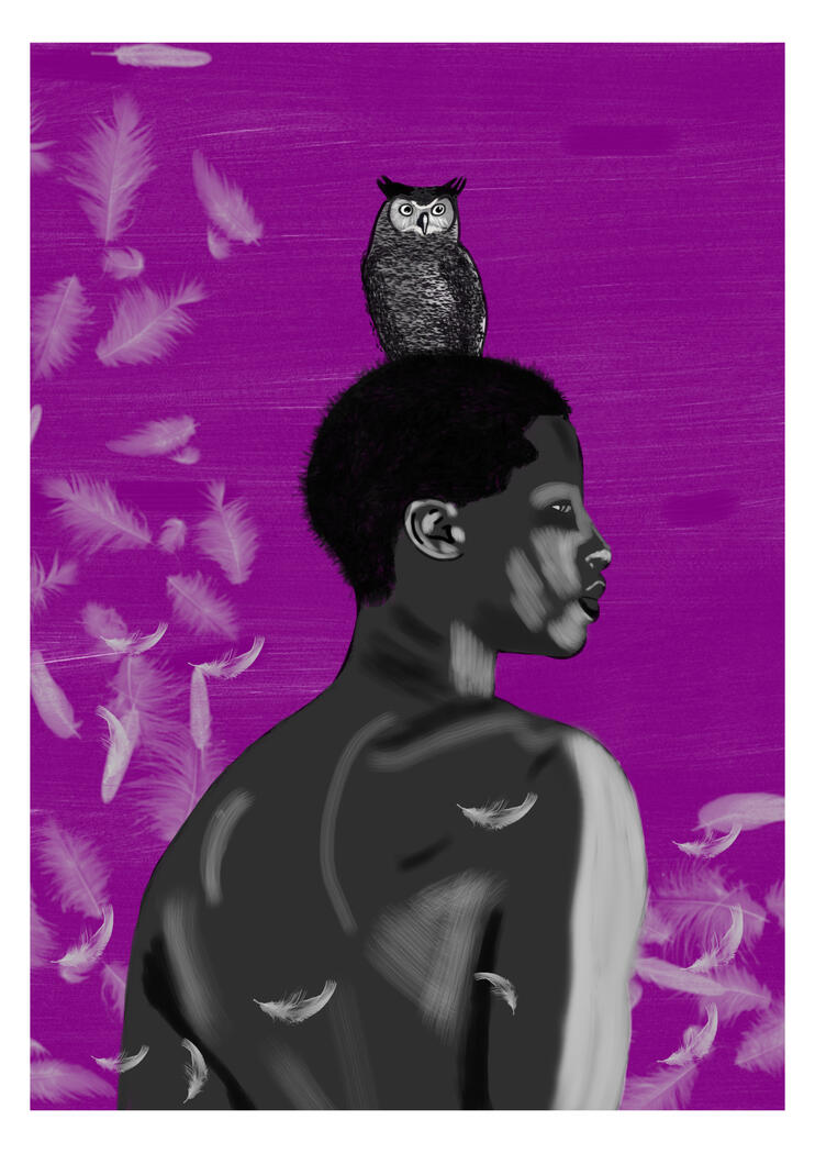 Intuition Intuition
